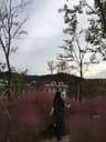 정지혜 프로필 사진