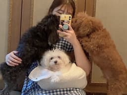 나은