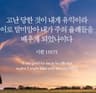 HappyReily 프로필 사진