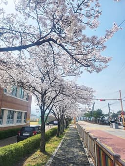 김수인