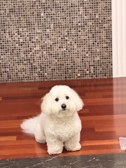 김태인