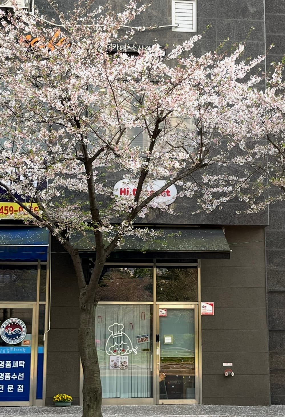 매물 사진 1